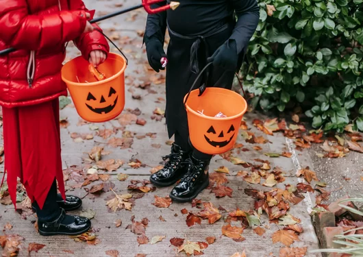 Two kids dressed up in Haloween costumes holding Trick or Treat baskets filled with candy.